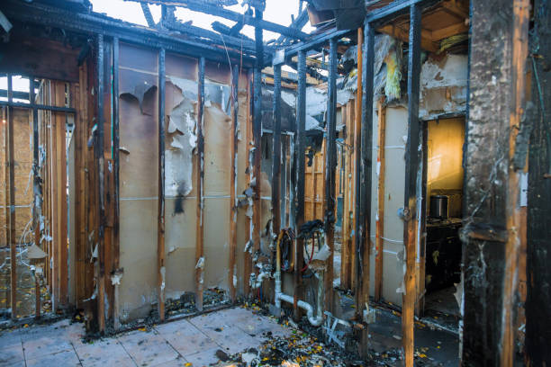 Professional Fire Damage Removal technician working in Kahaluu-Keauhou, HI